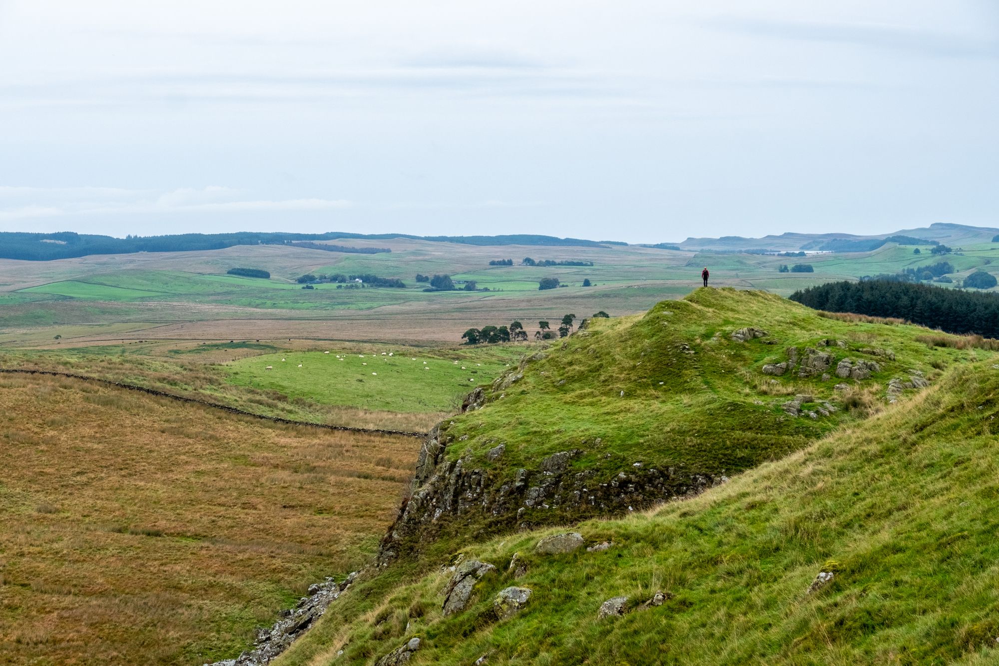 A lone hiker looks out over the 