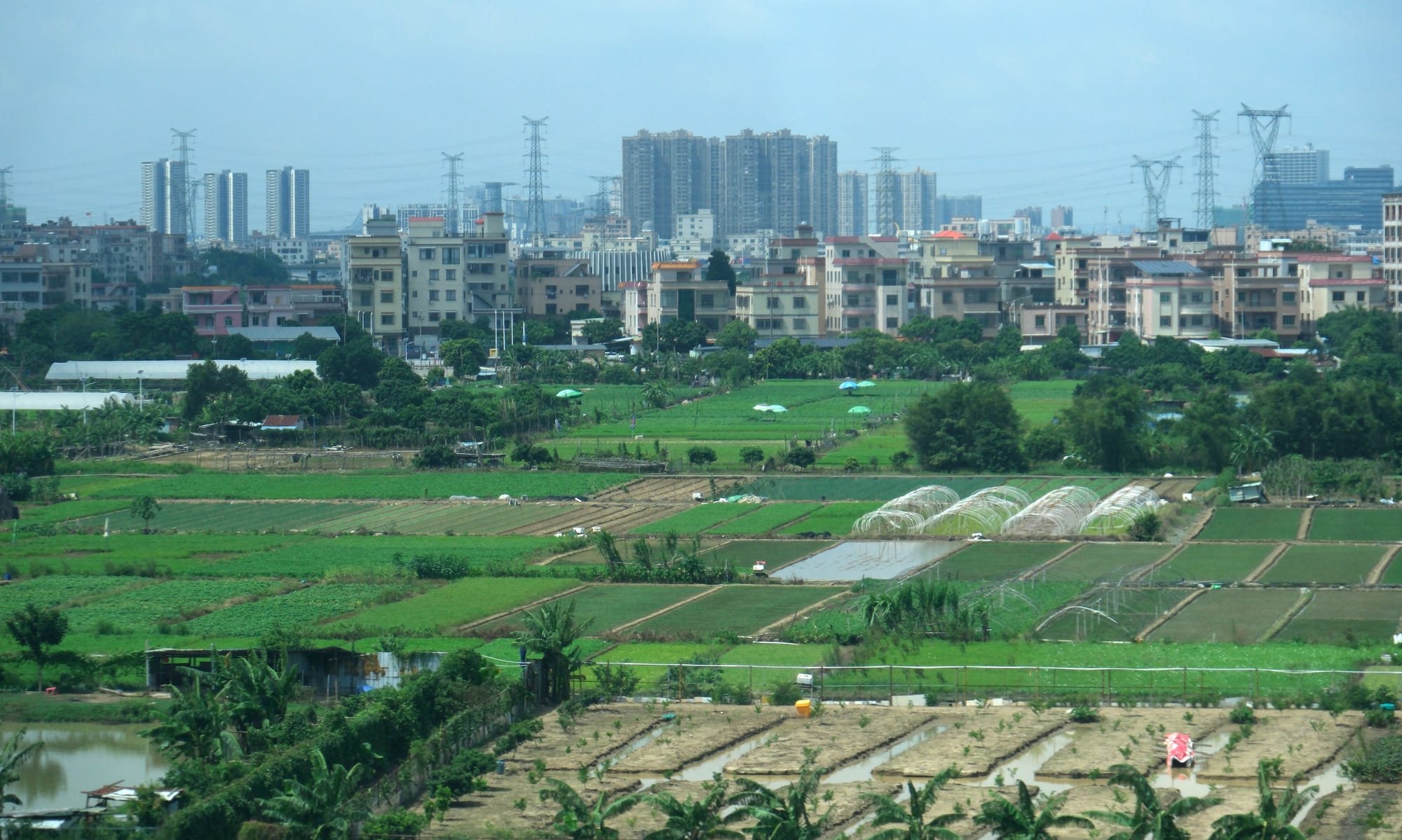 China | Greater Bay Area Sightings project