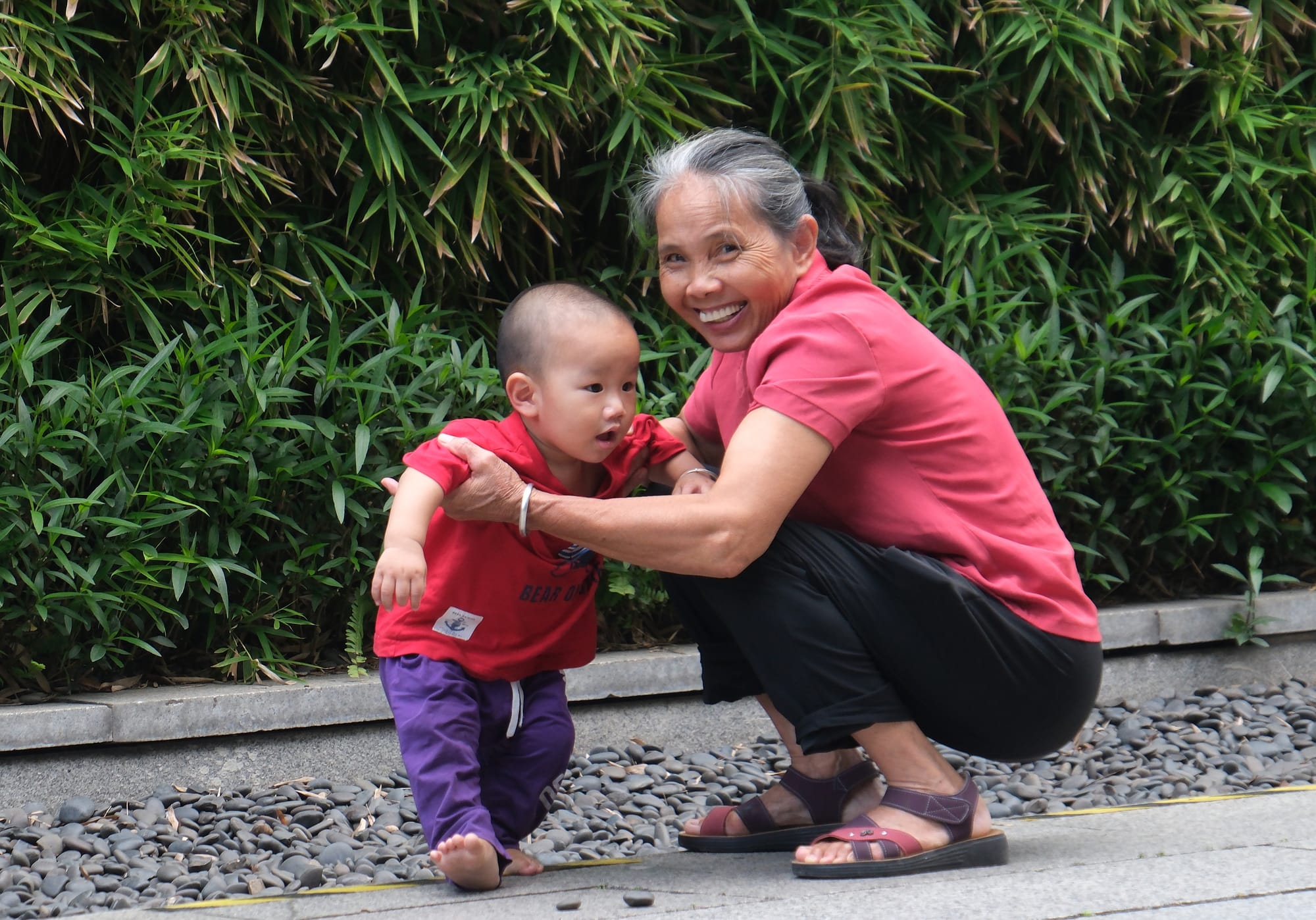 China | Greater Bay Area Sightings project