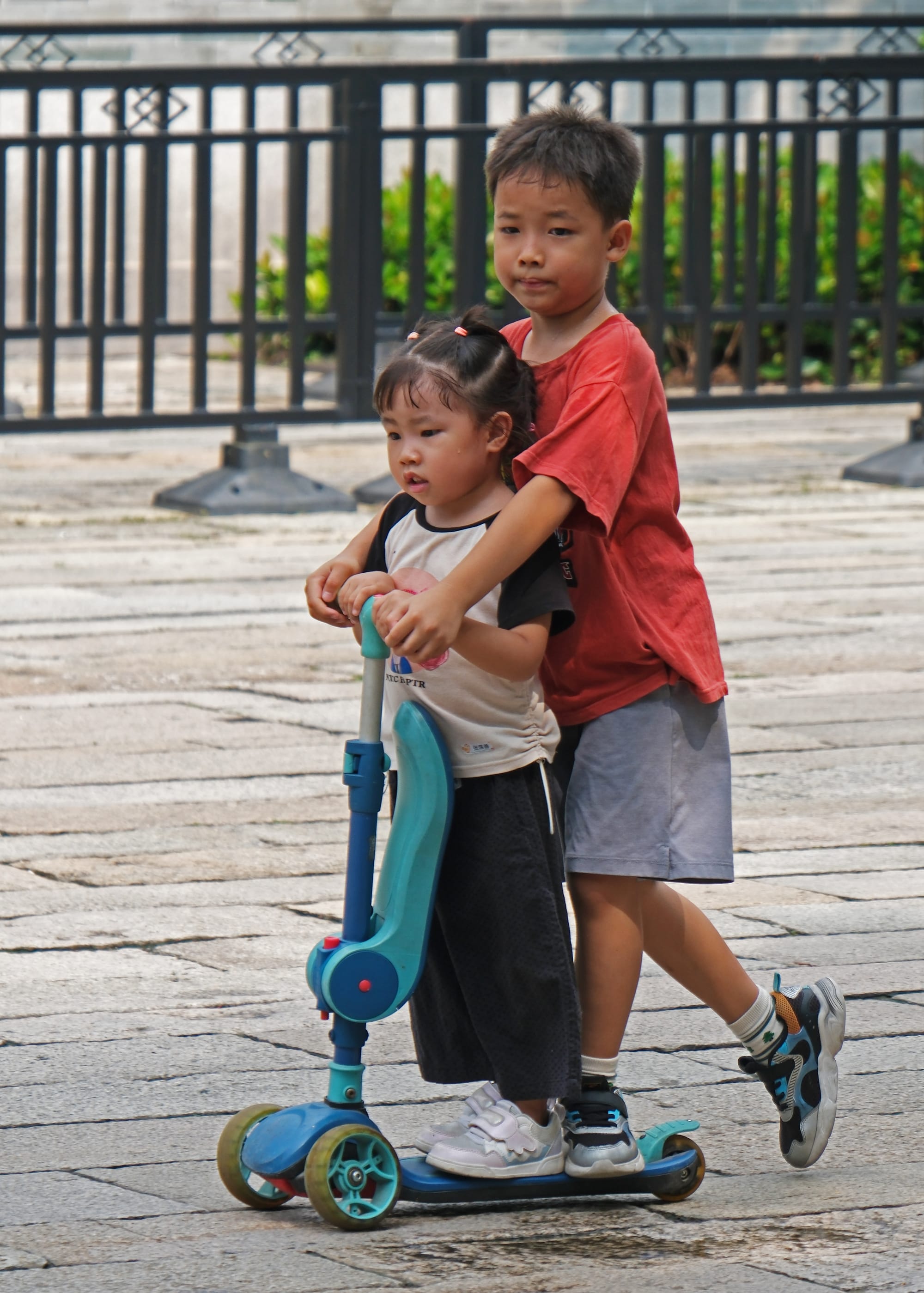 China | Greater Bay Area Sightings project