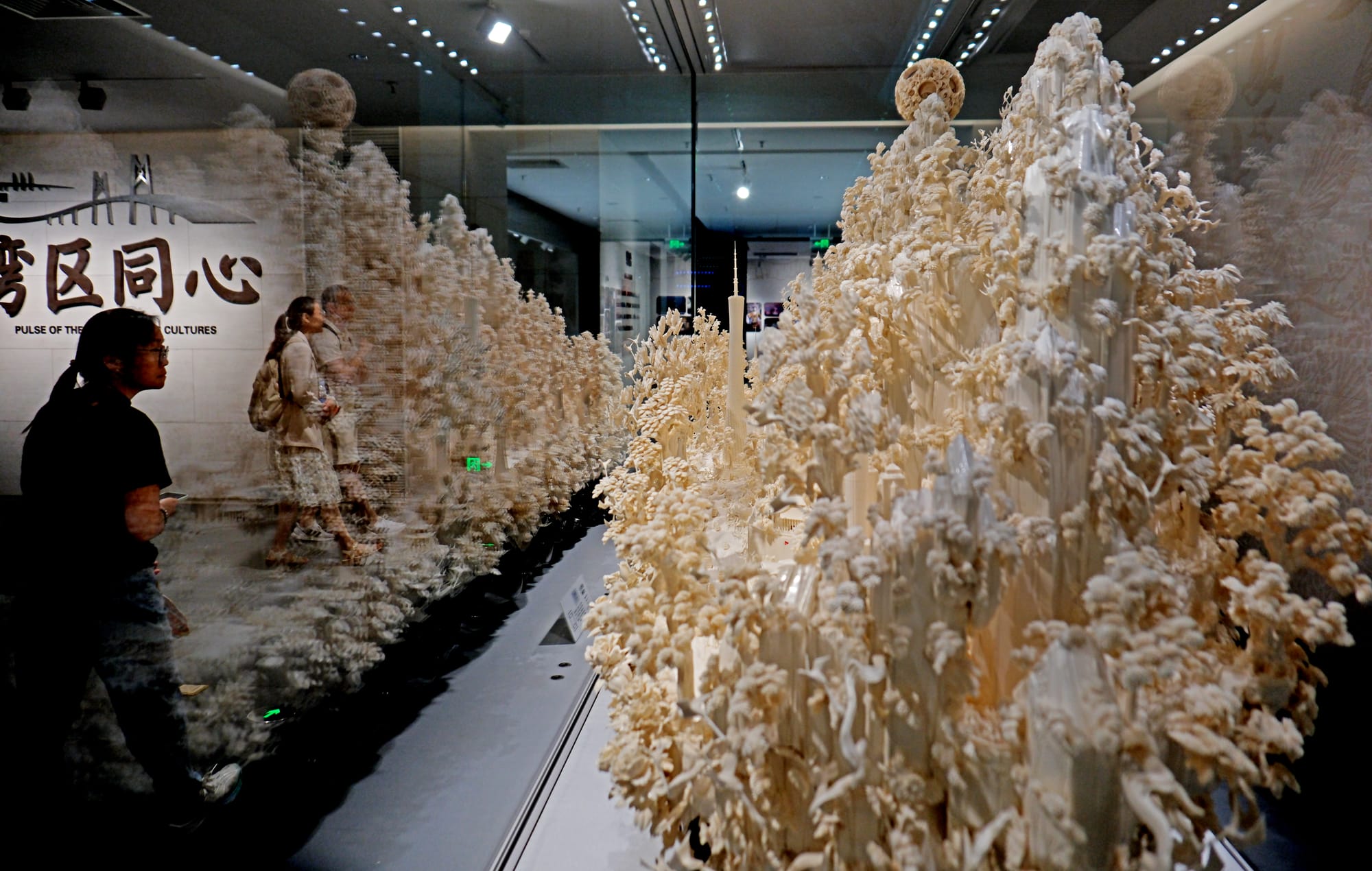 China | Greater Bay Area Sightings project