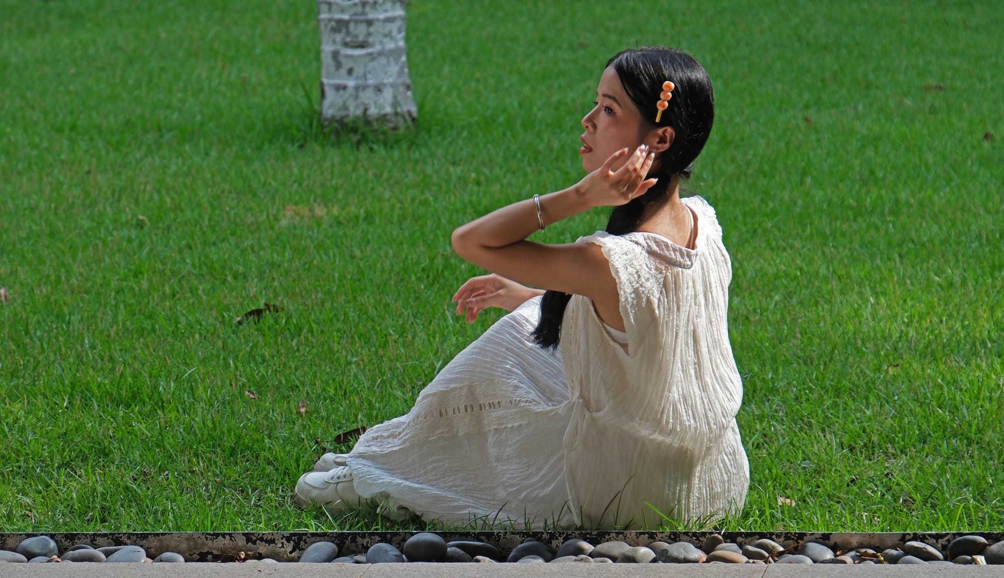 China | Greater Bay Area Sightings project