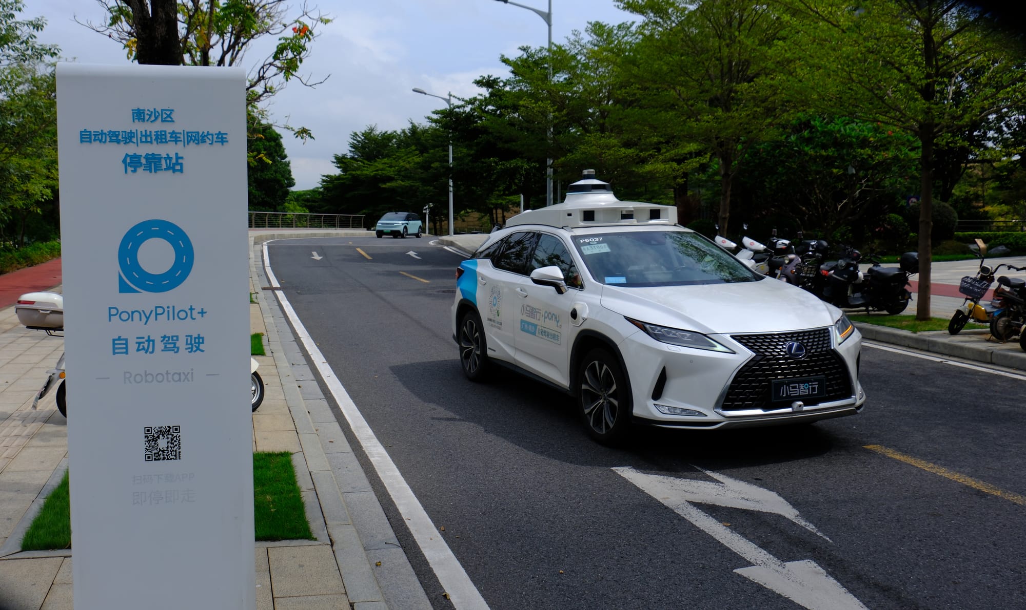 China | Greater Bay Area Sightings project