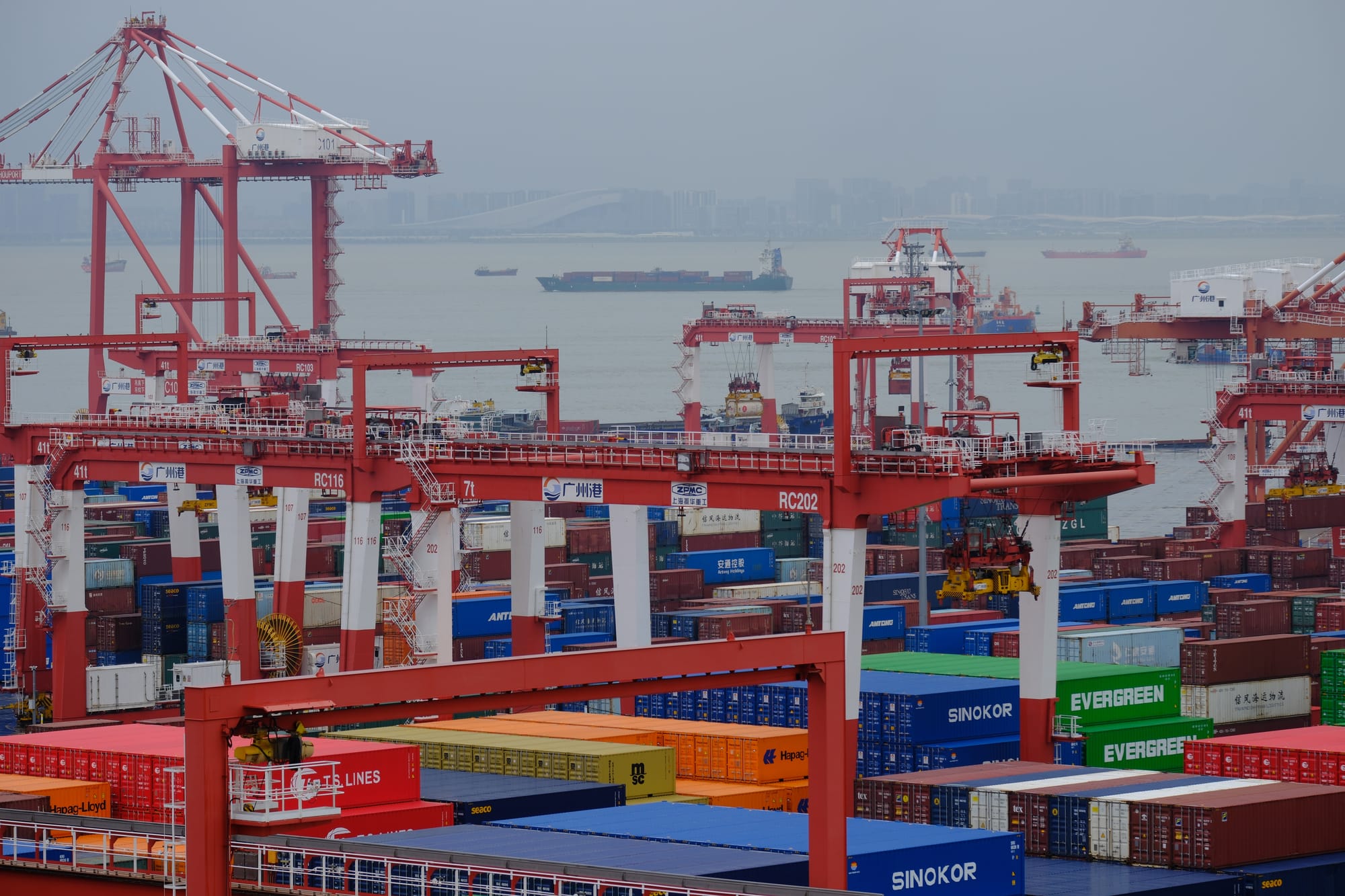 China | Greater Bay Area Sightings project