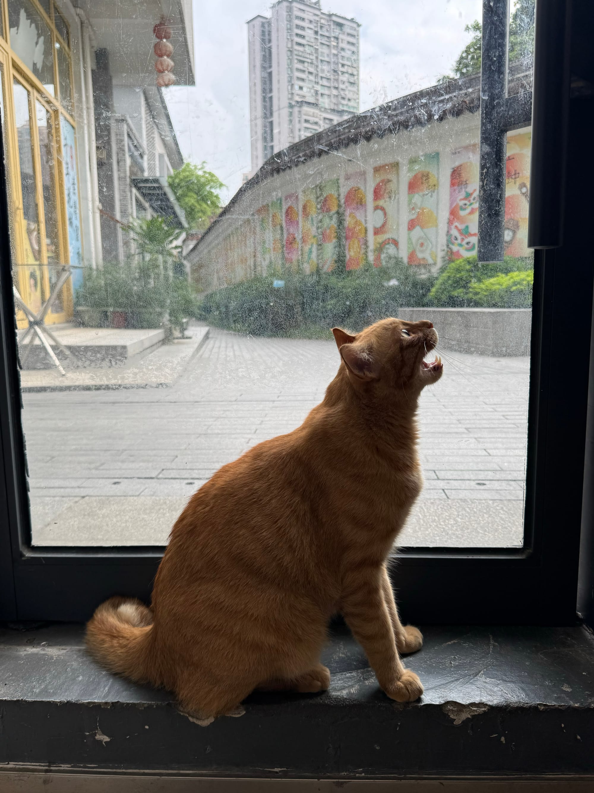 China | Greater Bay Area Sightings project