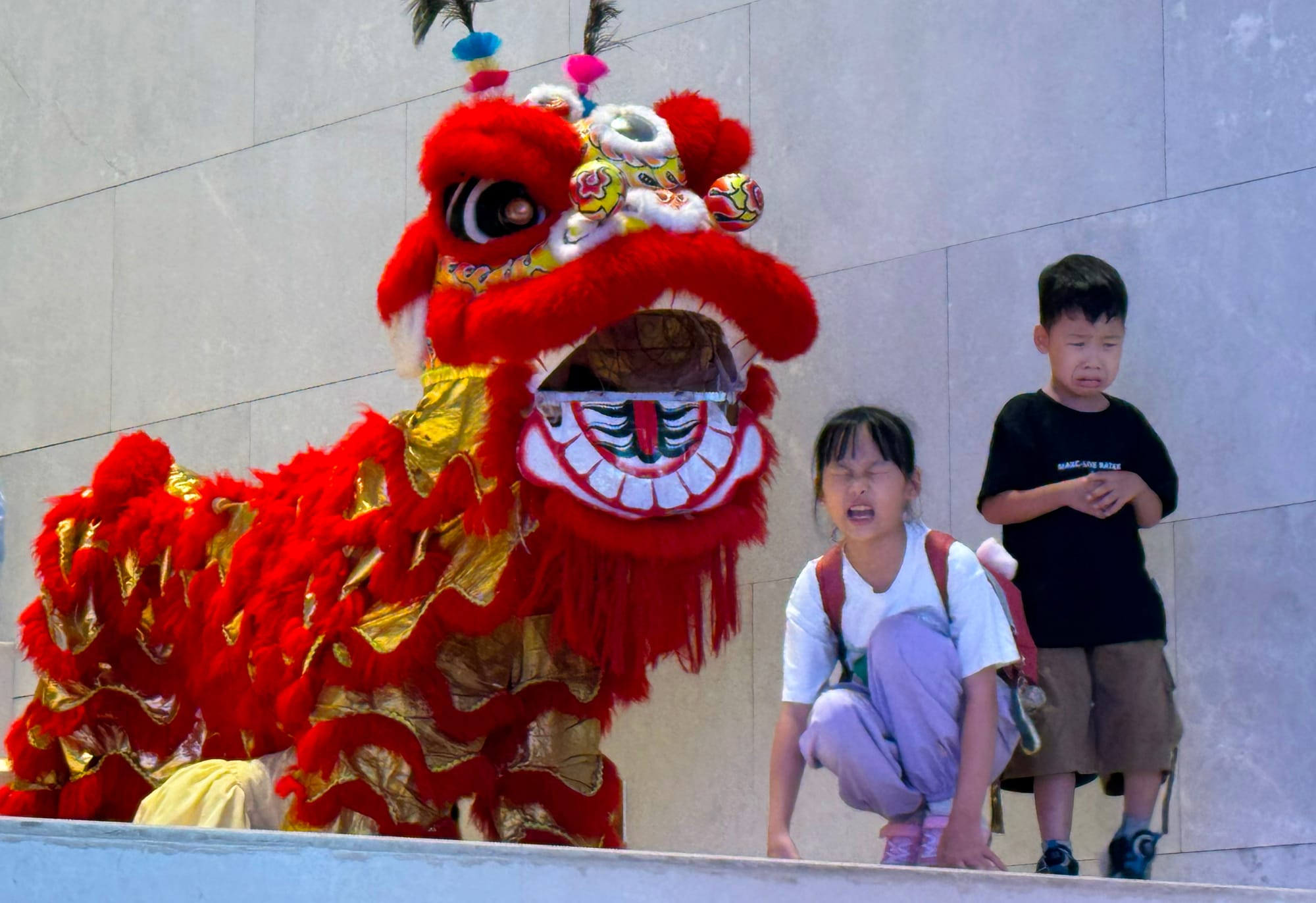 China | Greater Bay Area Sightings project