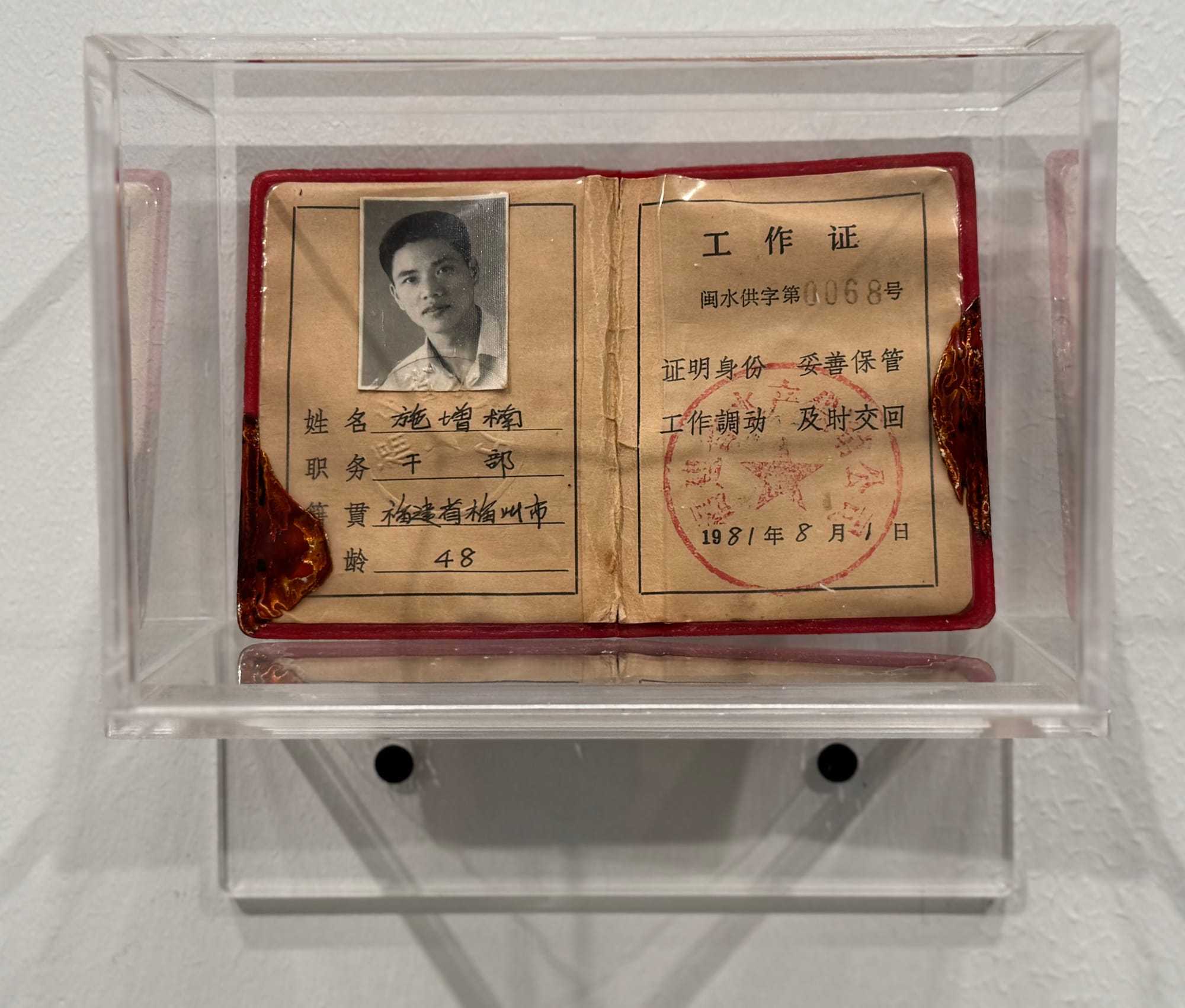 China | Greater Bay Area Sightings project