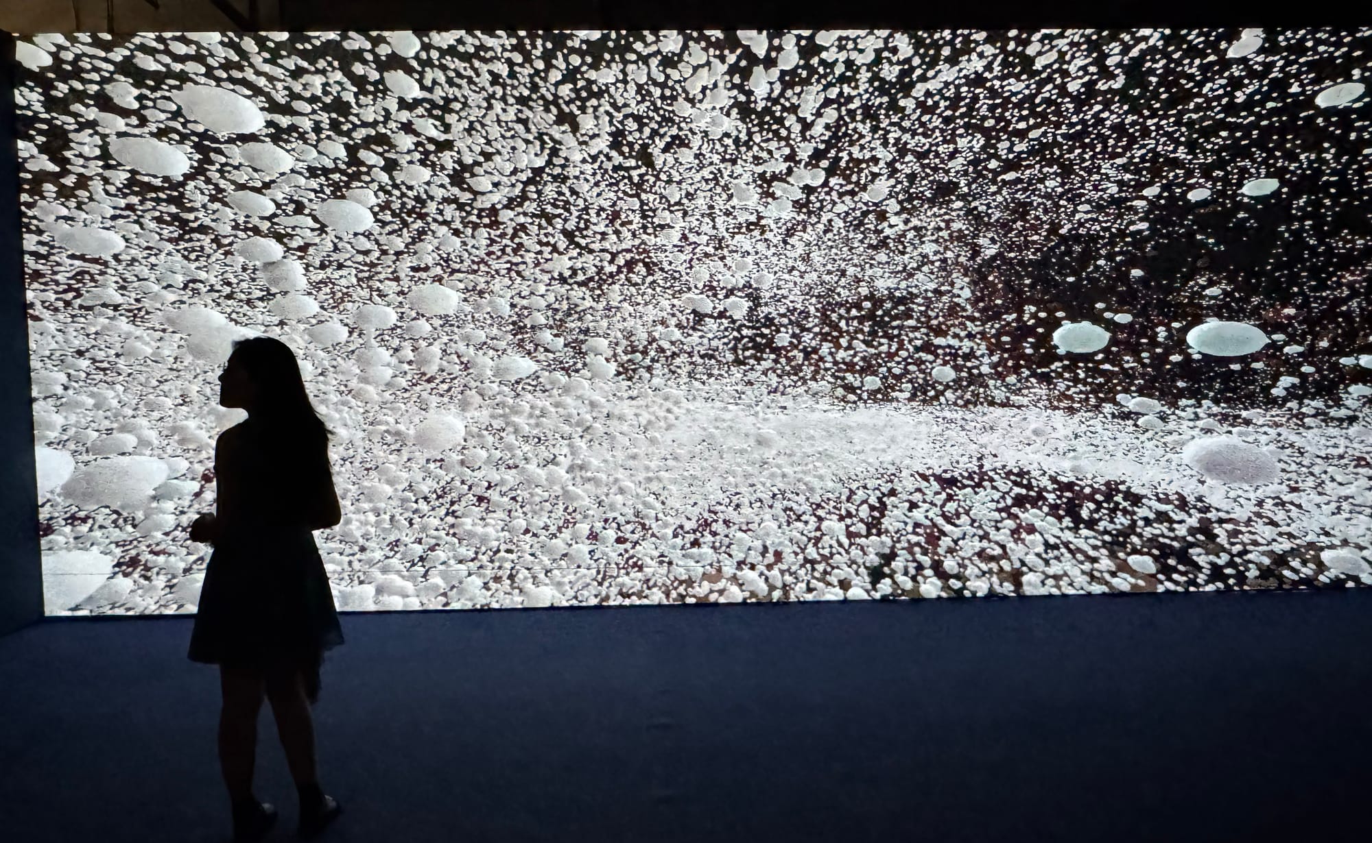 China | Greater Bay Area Sightings project