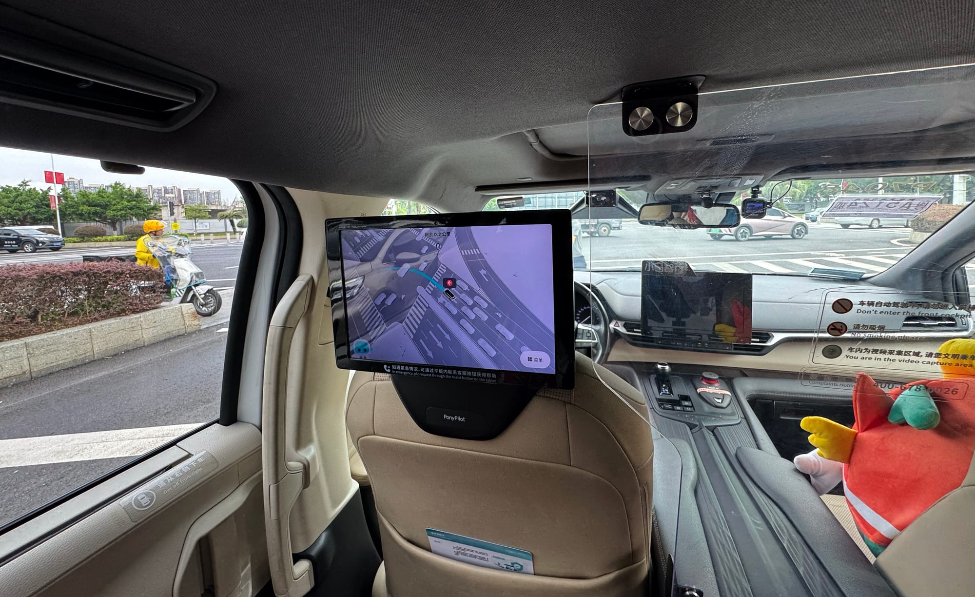 China | Greater Bay Area Sightings project