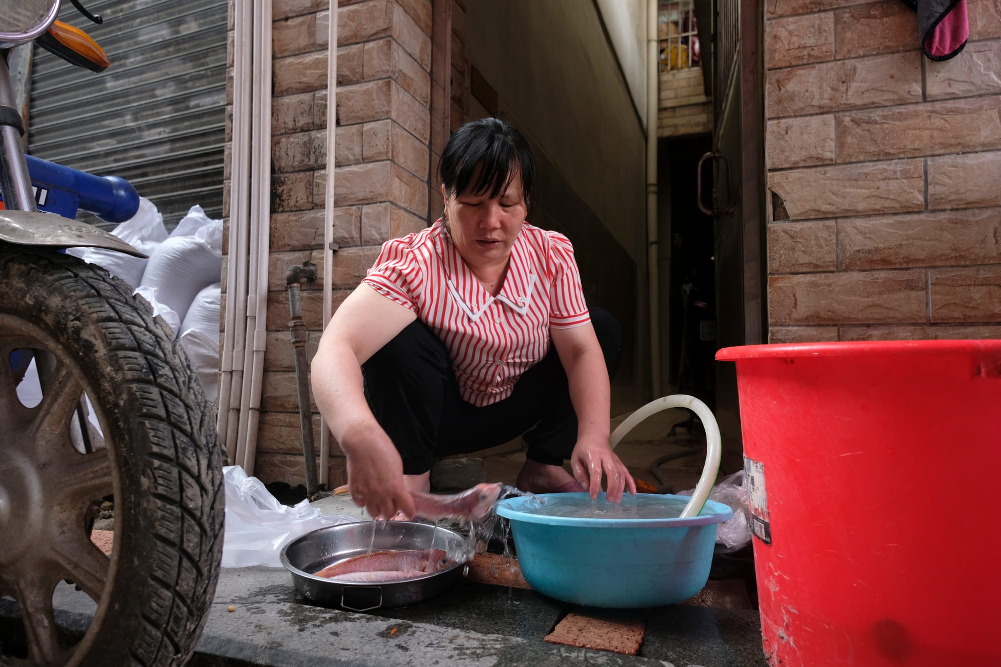 China | Greater Bay Area Sightings project