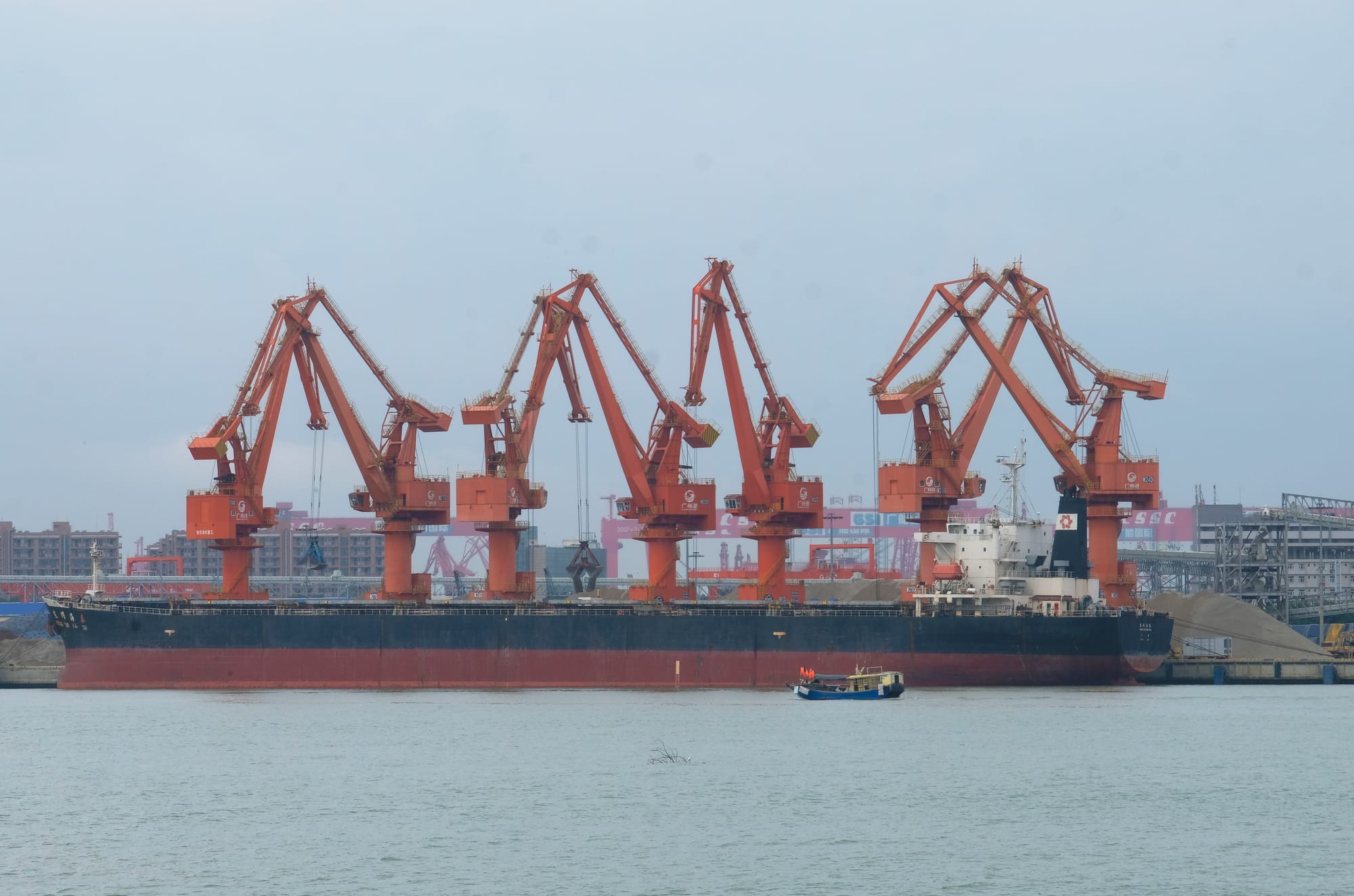 China | Greater Bay Area Sightings project