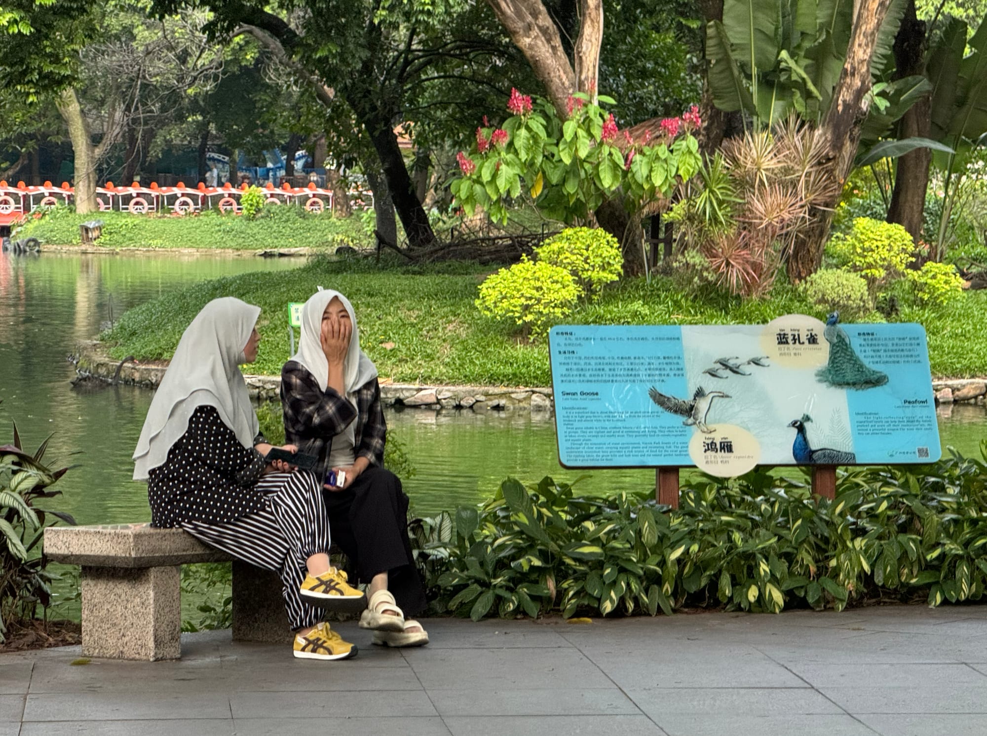 China | Greater Bay Area Sightings project